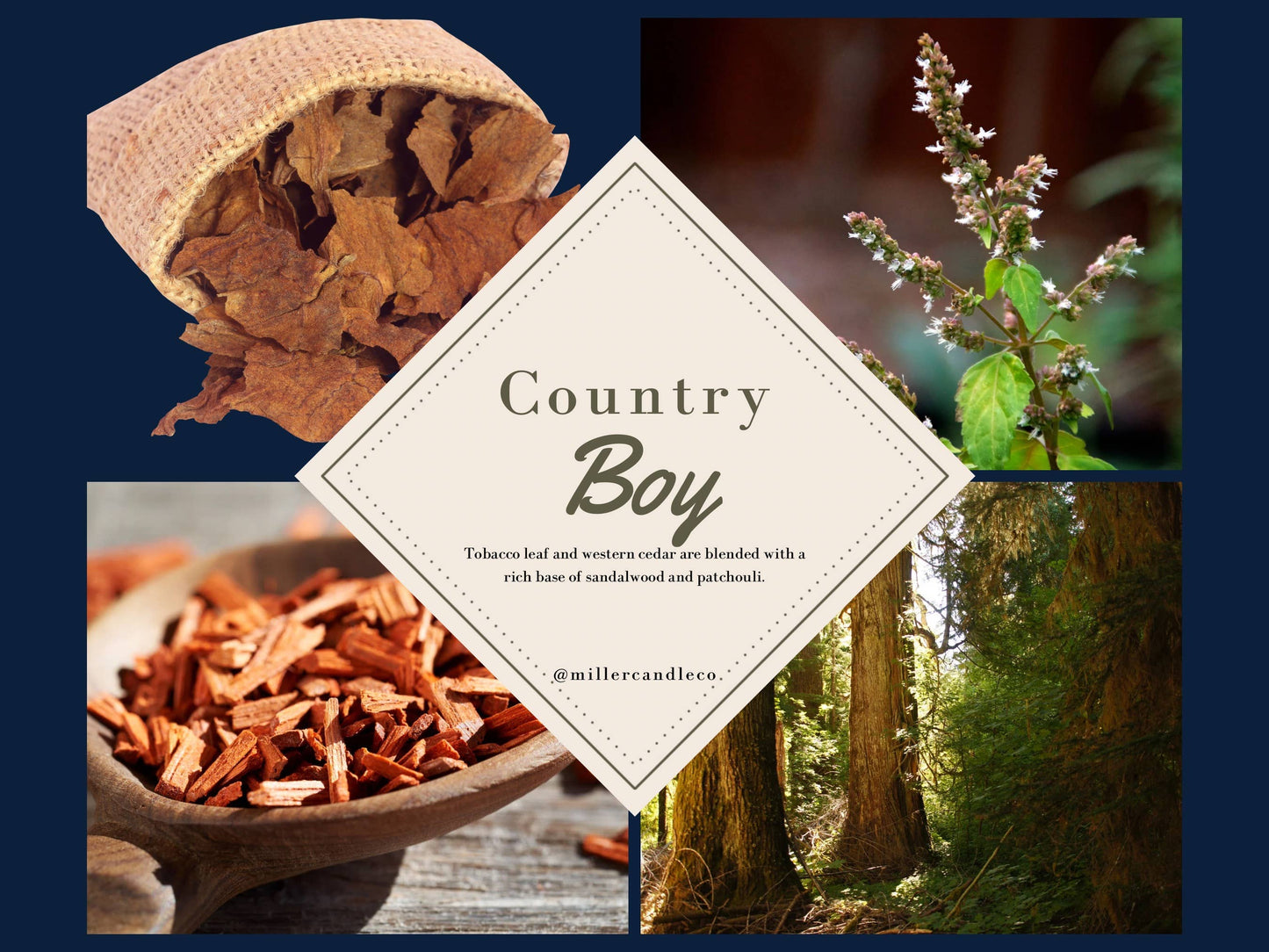 Goat Milk & Honey Lotion for Men