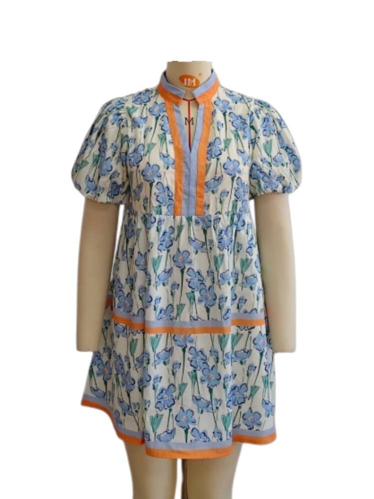 Blue wildflowers Floral V-neck mini dress A-line dress