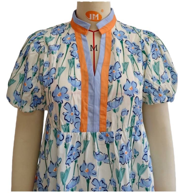 Blue wildflowers Floral V-neck mini dress A-line dress