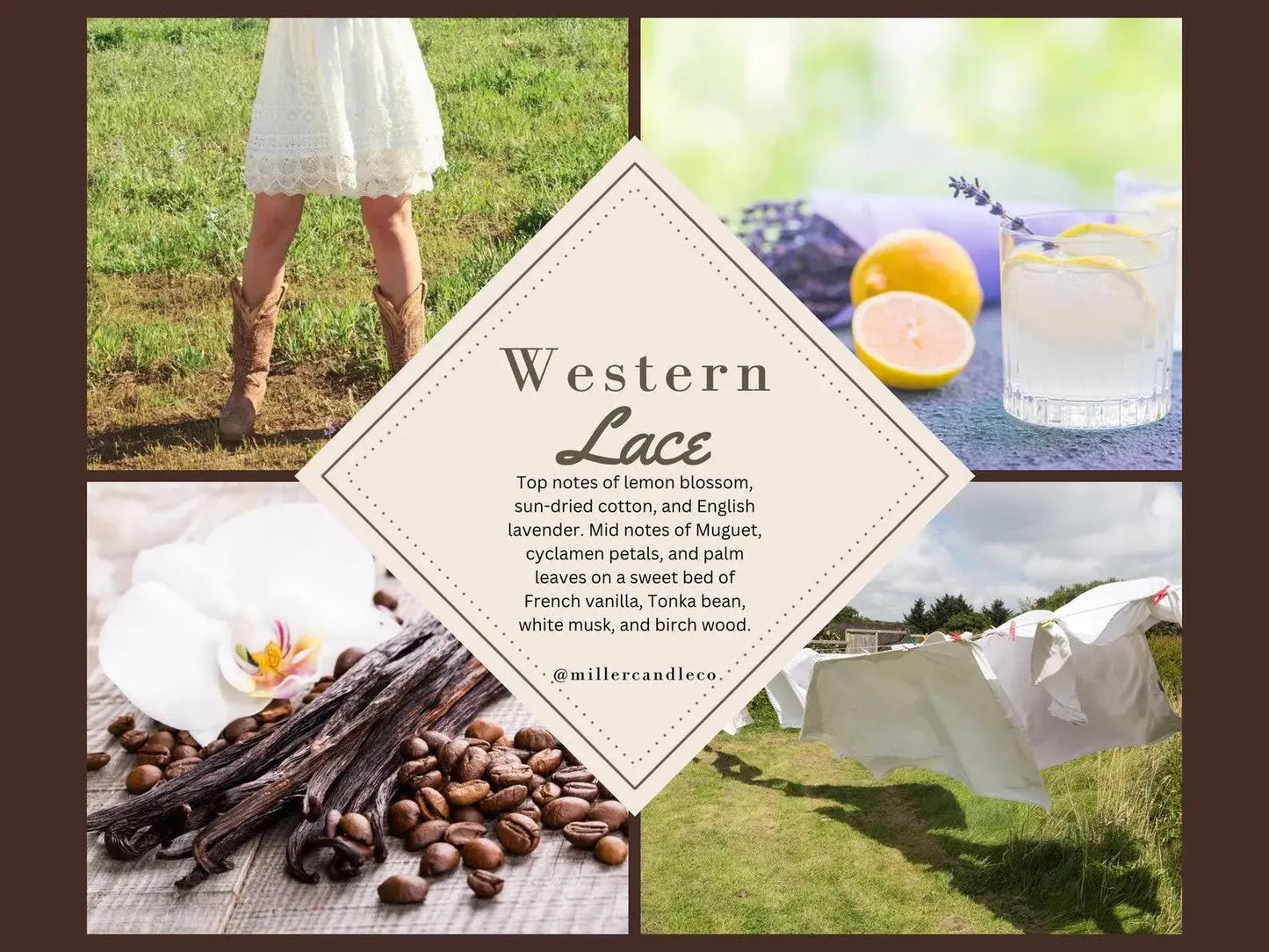 Goat Milk & Honey Lotion for Women