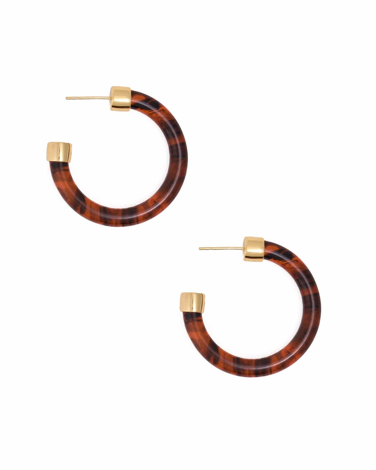 Winona Shiny Resin Hoop Earrings